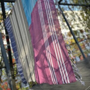 Untitled Project-336